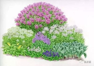 101张超高清精品手绘花境，惊艳你的视觉 下 化妆品