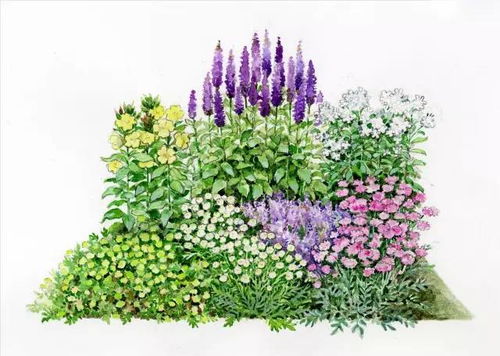 101张超高清精品手绘花境，惊艳你的家居视觉体验